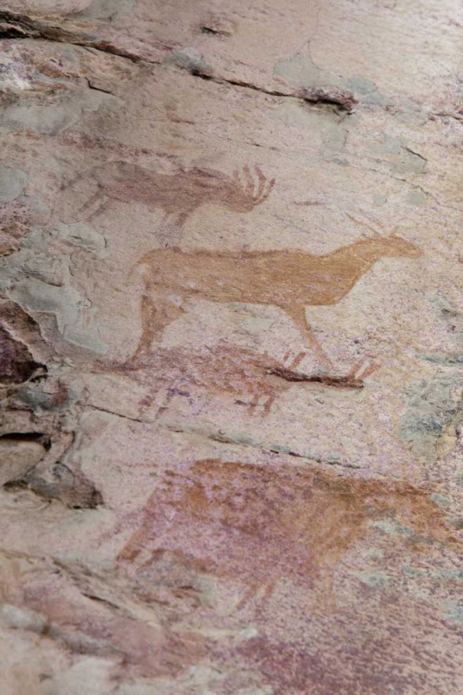 Africa, Botswana, Tsodilo Hills Bushman rock art